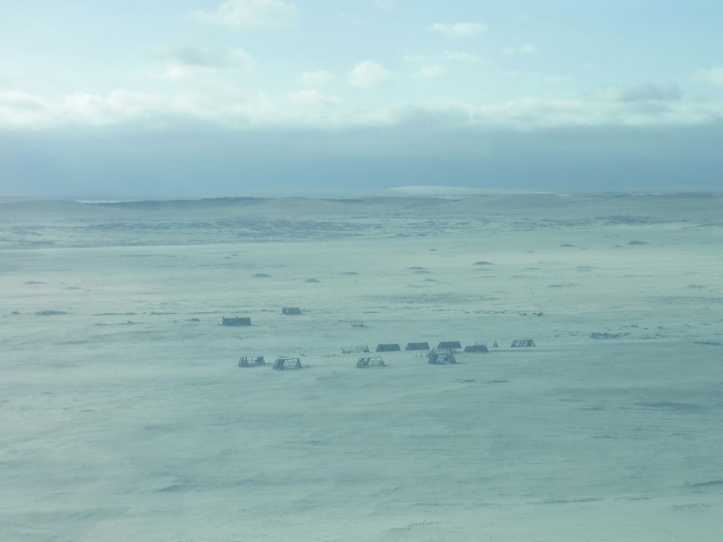 namib desert